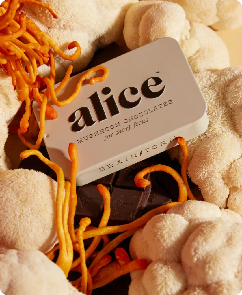 Magic Mushroom Chocolate UK