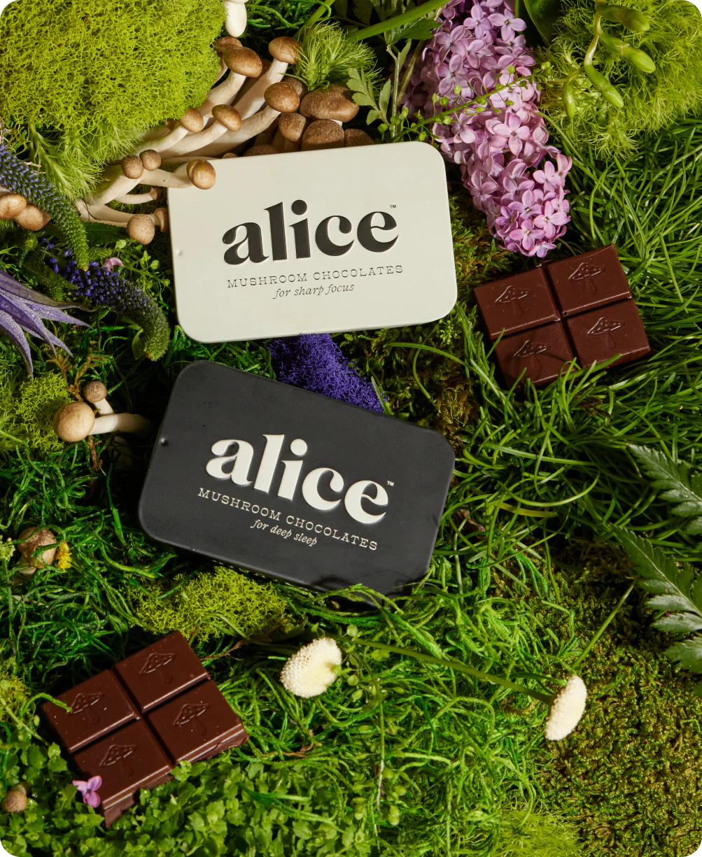 The-Duo-Chocolate-Mushroom-Bar.webp